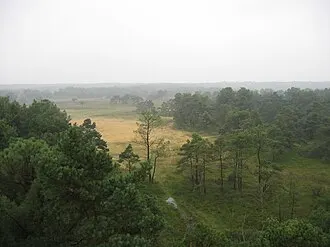 Grenspark Kalmthoutse Heide