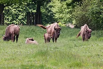 Bezoekerscentrum Natuurpark Lelystad