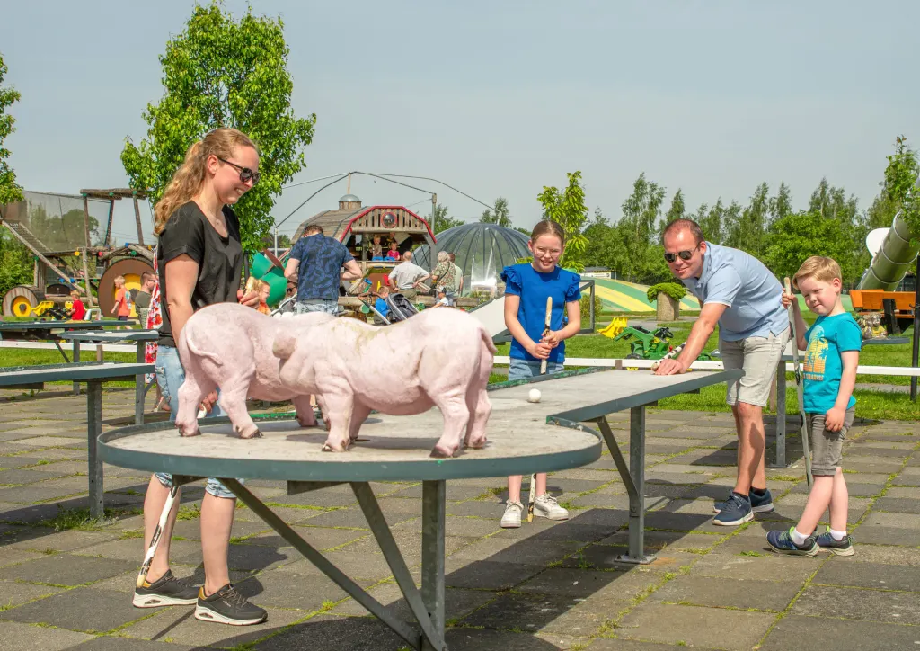 Speel- en IJsboerderij De Drentse Koe