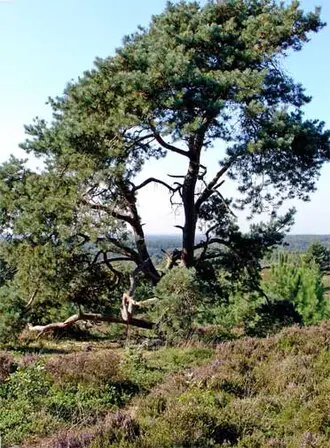 Natuurmuseum Holterberg