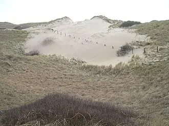 Noordhollands Duinreservaat