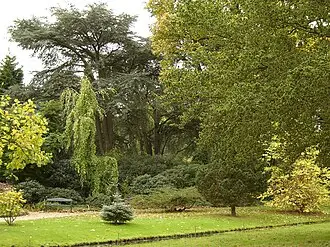 Trompenburg Tuinen  Arboretum
