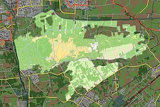 Loonse en Drunense Duinen