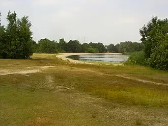 Zilverstrand