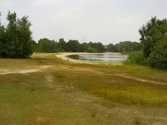 Zilverstrand