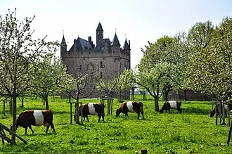 Kasteel Doornenburg