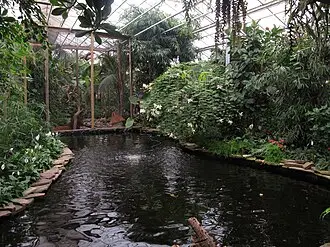 Berkenhof Tropical Zoo