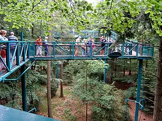 Buitencentrum Boomkroonpad