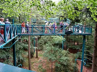 Buitencentrum Boomkroonpad