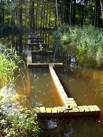 Waterloopbos