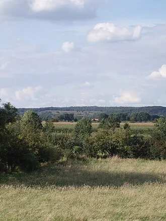 Mookerheide